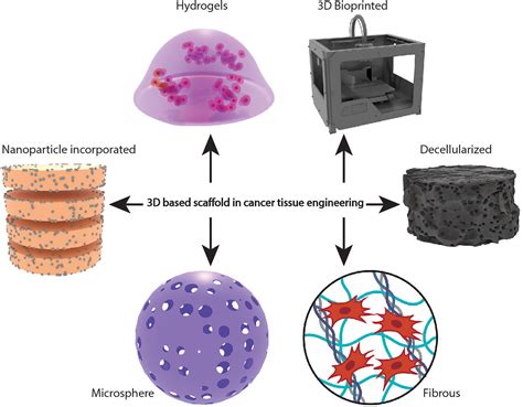  Fibrin : Un matériau biologique polyvalent pour la réparation tissulaire et l'ingénierie cellulaire !