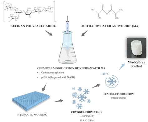  Kefiran: Un Biopolymère Promis Pour L’Ingénierie Tissulaire et Les Applications Pharmaceutiques !